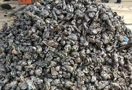 汽車外殼撕碎機(jī) 汽車外殼撕碎機(jī)