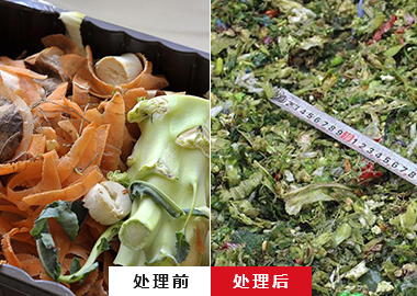 廚余垃圾破碎機(jī) 餐廚垃圾破碎