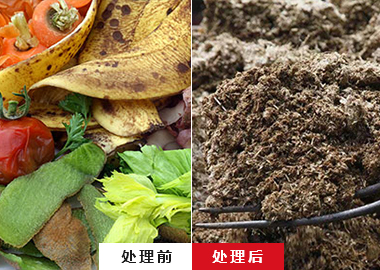 廚余垃圾破碎機(jī) 果蔬破碎