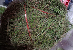 工業垃圾打包機 工業垃圾打包機