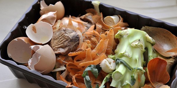 非居民廚余垃圾處理計(jì)量收費(fèi)來了！廚余垃圾怎么處理？