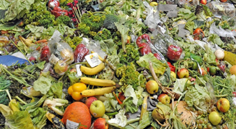 餐廚垃圾分選機(jī) 餐廚垃圾分選機(jī)