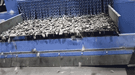 篩網出料 篩網出料