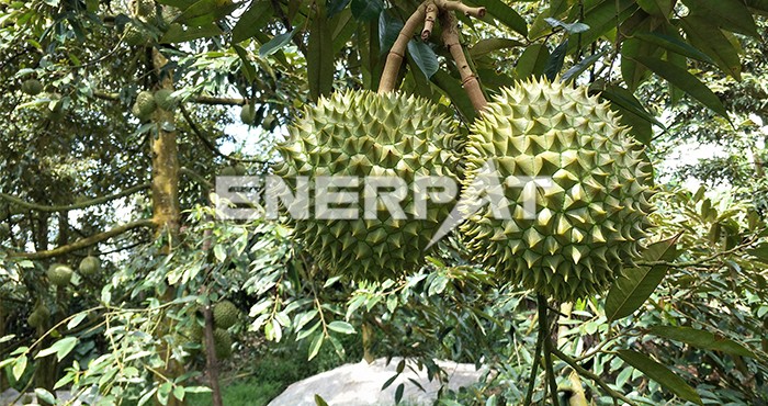 果蔬垃圾破碎機 果蔬垃圾破碎機